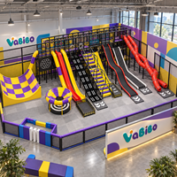 Aire de jeux intérieure commerciale multi-pistes avec toboggan à tubes transparents, piscine à balles, tour d'escalade et jeux souples pour FEC clé en main