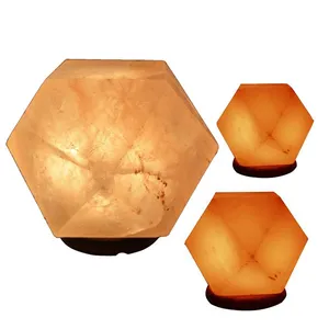 wholesale 2024 Latest Innovative Design Direct Factory Sale Pink Himalayan Salt With Dimmer & Bulb Custom Shaped Salt Lamps