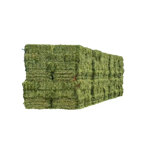 Heno de alfalfa a precio mayorista disponible para mercados de alimentación comercial y compradores a granel - Product Image 3