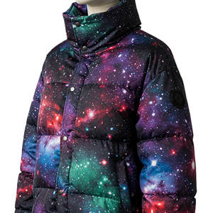 Manteaux courts d'hiver personnalisés ultra-légers pour hommes Veste en toile à capuche brodée en chenille rembourrée à bulles Duck Goose avant - Product Image 2