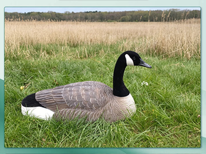 Décoy de chasse au canard sauvage durable, directement de l'usine, pour activités extérieures - Product Image 6