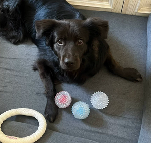 Balle interactive pour chien de 8 cm, jouet pour animaux de compagnie en silicone, balle à mâcher douce et pointue pour petits animaux, entraînement des chiots, balle de jeu durable - Product Image 5