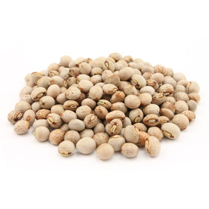 Premium Organic Dried Chickpeas 7mm to 12mm High Quality Nutrient-Rich Natural Product for Food Industry Use - Product Image 4