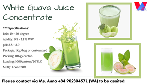Concentré de jus de goyave blanc naturel de qualité supérieure exporté du Vietnam au MEILLEUR PRIX - Product Image 3