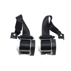 Correas Traseras MINI One Serie 3 72117313363 (13>) - Product Image 1