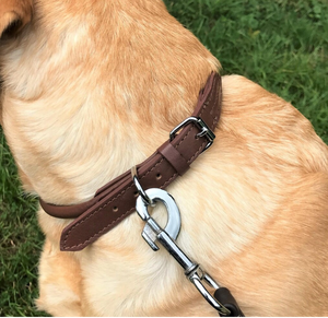 Collier de chien en cuir vert de haute qualité pour lévrier et Whippet - Product Image 2