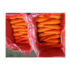 Fournisseur de légumes frais, carottes fraîches, meilleur prix, carottes nouvelle récolte, carottes rouges - Product Image 5