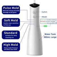 Hydropulseur Dentaire Électrique Portable USB en Plastique 300ML Sans Fil IPX7 pour Nettoyage des Dents, Vente en Gros OEM ODM
