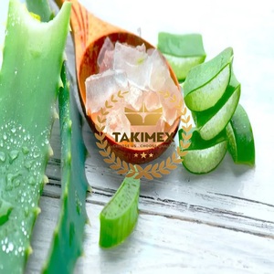 Halal Certificate Diced Aloe Vera/ Aloe Vera <b>Pulp</b> in Light Syrup Size 3x3x3mm Aloe Vera Made in Vietnam for Exporting - Product Image 1