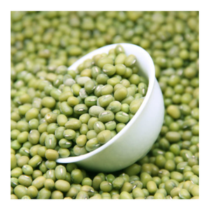 เมล็ดถั่วเขียวขนาดกลางเมล็ดถั่วเขียวคุณภาพสูง - Product Image 2