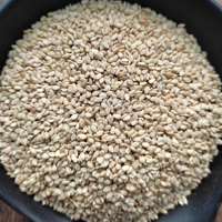 99.9% graines de sésame blanc pur ECO EXPORT marque origine indienne emballage de tambour en vrac prix de gros