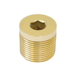 Enchufe de parada tipo Llave Allen para sellado de entrada de prensaestopas instalaciones eléctricas interiores disponibles para suministro al por mayor - Product Image 1