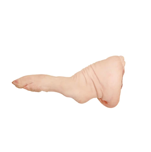 Fabricant et fournisseur en gros de pieds postérieurs de porc IQF BQF congelés meilleure qualité meilleur prix d'usine en vrac acheter en ligne - Product Image 1