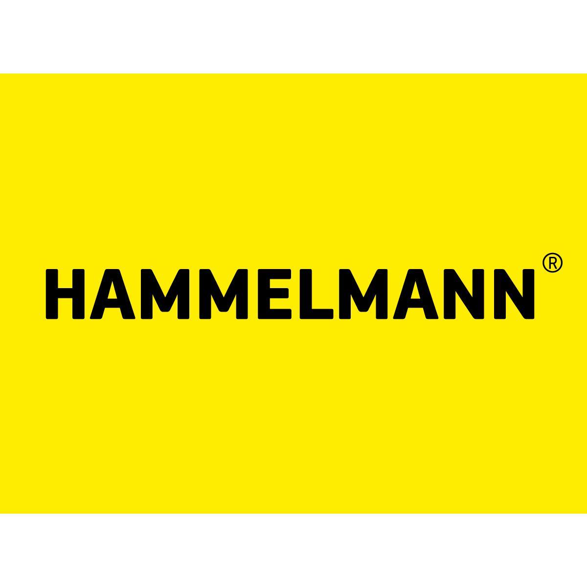 Hammelmann GmbH logo
