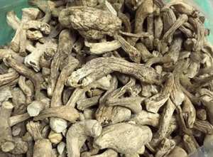 Tallos de hongos shiitake orgánicos Nutrición seca que estimula el sistema inmunológico Limpio y puro Empaquetado a granel - Product Image 2