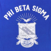 Hochwertiger Winter-Herrenpullover PBS Regular Sleeve Blau 100% Baumwolle Phi Beta Sigma Pullover mit Team-Logo Frontprint Fraternity