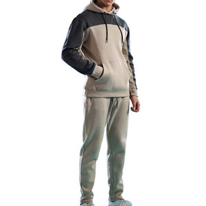 Nouvel arrivage de survêtements à capuche pour hommes OEM avec logo 100% survêtement décontracté en coton à bas prix - Product Image 2