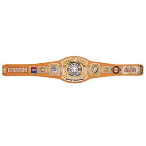 Design personnalisé ceintures de lutte WWE Championship ceinture de champion du monde poids lourd logo personnalisé Ronpex de qualité supérieure - Product Image 6