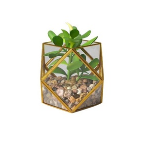 Terrario de cristal para decoración de fiestas de boda para sala de estar o comedor, artículo de decoración, Terrario de cristal de estilo único - Product Image 1