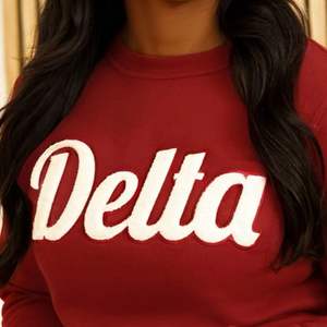 Maroon Delta 1913 Manches Chenille Crewneck Sweat Premium Fleece Sorority Apparel Greek DST Warm Winter Top - Product Image 3