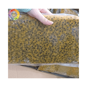 Puré de maracuyá congelado de grado premium amarillo con Brix Min 14 sin aditivos mejor para bebidas y saborizantes Vietnam - Product Image 6