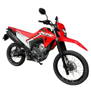 Nouvelle offre de vente 2025 XR300L Tornado : 293cc flex-fuel dual-sport, 24 ch, suspension à long débattement, éclairage LED, roues à rayons - Product Image 2