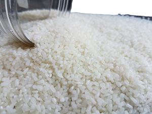 Premium vietnamita 100% arroz blanco de grano largo roto bien molido textura suave grado alimenticio-Póngase en contacto con Jenny Doan en + 84398885178 - Product Image 2
