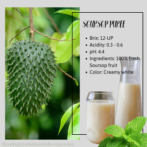 Purée de soursop sans sucre de Kim Minh International jus de fruits et de légumes emballés en vrac directement du Vietnam - Product Image 3