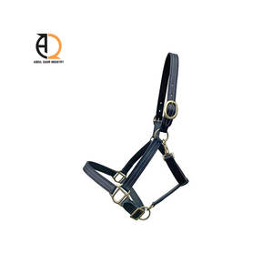 Licol en cuir et nylon pour chevaux, rembourré et réglable, avec boucles plaquées laiton - Product Image 1