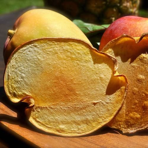 สายมะม่วงอบแห้งแบบเขตร้อนจากเวียดนามเดลต้าผลไม้เคี้ยวหวานส่งออก - Product Image 3