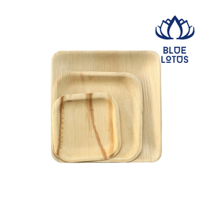 Platos Desechables de Hoja de Palma de Areca Natural al por Mayor para Almuerzo - Product Image 1