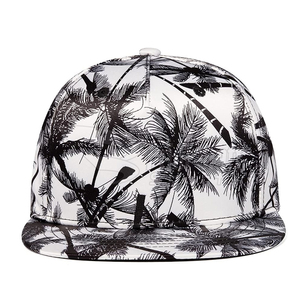 หมวกเบสบอลผ้าฝ้าย5แผง100เปอร์เซ็นต์, น้ำหนักเบาสำหรับผู้ชายหมวกกลางแจ้งแบบลำลองสำหรับฟิตเนส - Product Image 1