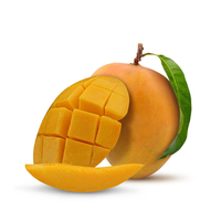 Bestverkopende Verse Heerlijke Mango Alphonso Super Grade 3Kg Natuurlijke Smaak Verkrijgbaar Bij Fabrieksprijs Vertrouwde Leverancier