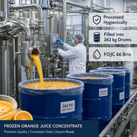 Concentré de jus d'orange en vrac du Brésil - Congelé 66 Brix Origine Sao Paulo 100% Pur Durée de conservation de 24 mois en fût