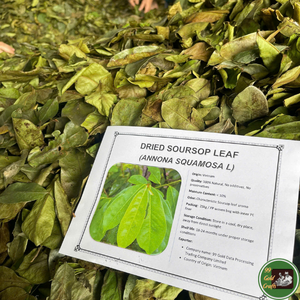 Feuilles de corossol séchées d'origine vietnamienne, matière première botanique pure pour la fabrication de thé et la production de boissons - Product Image 6