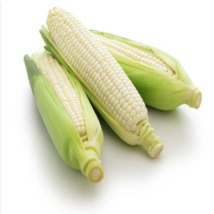 Maíz para consumo humano-Maíz de maíz para alimentación animal/Maíz blanco Mejor proveedor - Product Image 6