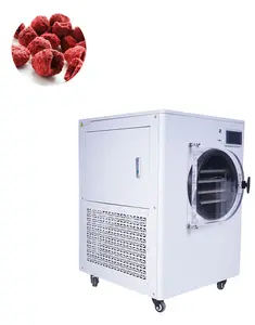 Food continuous freeze dryer machine coffee freeze dried machine stainless steel vacuum freeze dryer tank