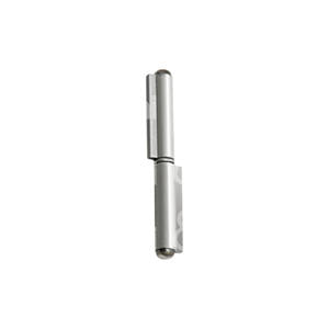 <b>HINGE</b> with CAP FIXED <b>PIN</b> STAINLESS STEEL - Product Image 1