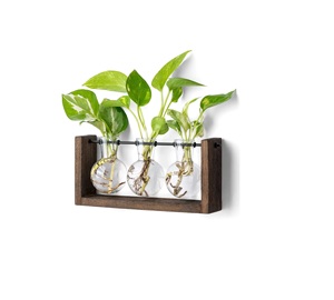 Maceta de vidrio de estilo americano S/3 en soporte de madera para mesa de escritorio para ventana de balcón y para techo para jardinería - Product Image 1