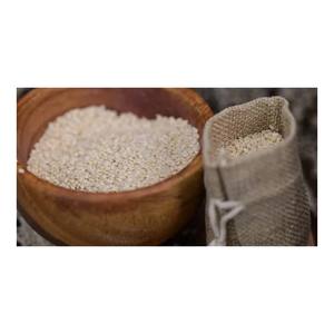 Canada Japonica Riz 3% Cassé Premium Grain Court Séché Dur Qualité Exportation - Product Image 2