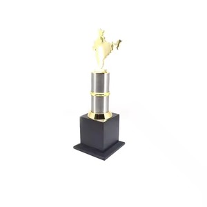 Premio de trofeo de mapa indio personalizado de suministro directo de fábrica para eventos corporativos o funciones gubernamentales Uso disponible en venta - Product Image 2