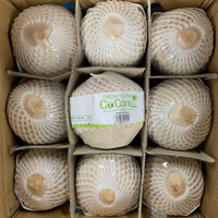 FERME-FRAIS JEUNE NOIX DE COCO/GOÛT RICHE ET HAUTEMENT HYDRATANT/CLIQUEZ ICI POUR LE MEILLEUR PRIX