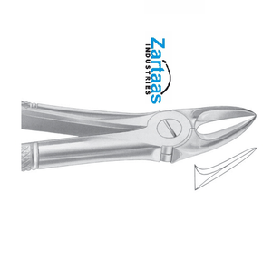 คีมสกัดสแตนเลสสำหรับแยกฟันกรามบนผู้ผลิตและผู้ส่งออก55 - Product Image 2