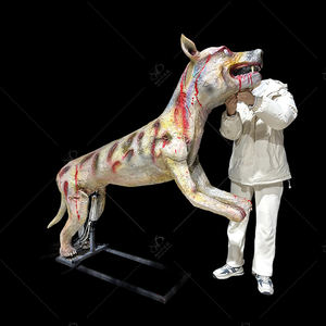 Interior <span class=keywords><strong>Terror</strong></span> Hyena Animatronic Modelo Horror neumático para casa embrujada Centro comercial Aeropuerto Guardería Jardín <span class=keywords><strong>de</strong></span> infantes - Product Image 3