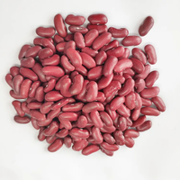 Haricots Blancs de Qualité Supérieure, Stock Frais, Vente en Gros pour les Partenaires de la Chaîne d'Approvisionnement Internationale