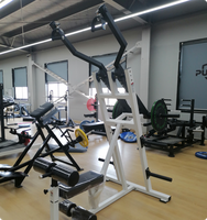 Machine à tirer les lombaires indépendante PowerX à charge libre pour l'entraînement musculaire du dos