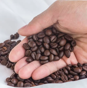 Commercio all'ingrosso brasiliano di alta qualità chicchi di caffè verde con il miglior prezzo per l'importazione di buona qualità chicchi di caffè crudo - Product Image 2