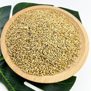 Semillas de Alpiste de la Mejor Calidad Original en Venta / Compre Semillas de Alpiste a Granel Procesadas Naturales para Aves Disponibles a Granel desde Canadá - Product Image 6