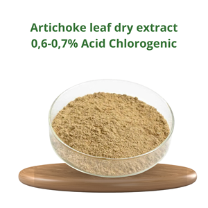 Polvo de extracto seco de hoja de alcachofa de alta calidad al por mayor de fábrica 0,6-0.7% ácido clorogénico fuente de hierbas de Vietnam - Product Image 2