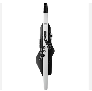 Instrumento de viento digital Roland Aerophone AE-20/AE-10G, el más vendido. - Product Image 1